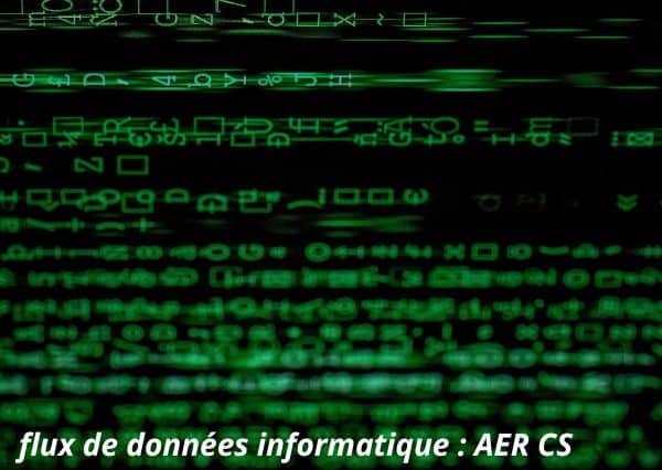 flux de donnees aer cs intermittents du spectacle.jpg